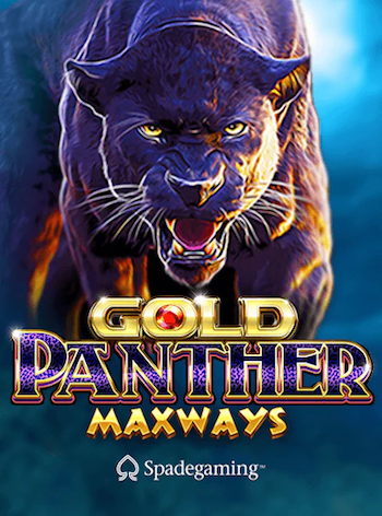 Gold Panther Maxways